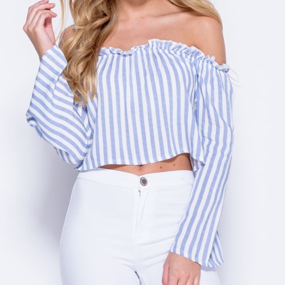 NWT Blue and White Striped Crop Top